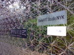 20071018021.jpg
