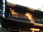DSC01595.jpg