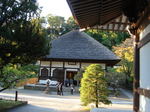 DSC01600.jpg