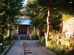 DSC01617.jpg