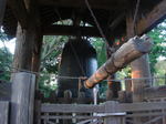 DSC01632.jpg