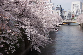DSC04509.jpg